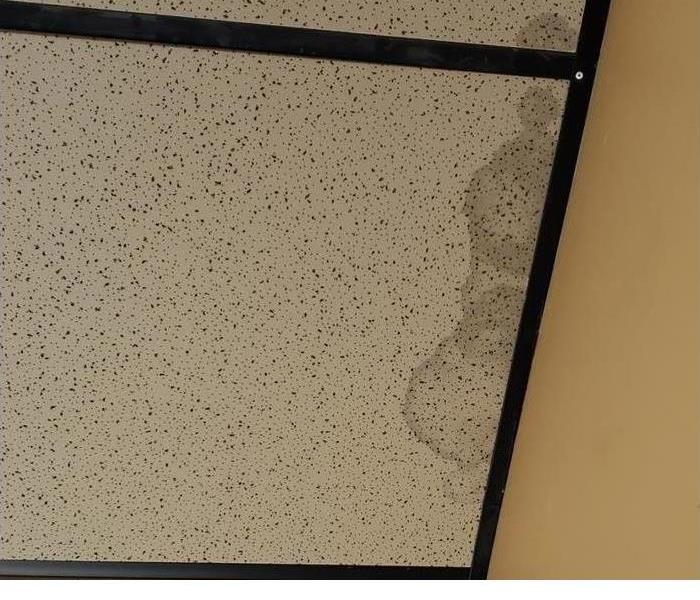 Pizza place in Hallandale Beach had mold growth in ceiling