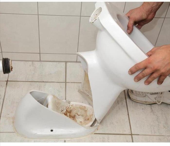 Plumber replacing broken toilet in a washroom
